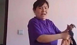 郭老师和娱乐吃瓜君,揭秘娱乐圈幕后故事